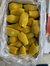 京鲜生 荷兰啤梨7斤礼盒装软糯香甜 单果130g-170g 源头直发 一件包邮 实拍图