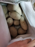 甘肃定西土豆马铃薯2025年新挖粉糯沙面高山洋芋黄心黄皮定西特产 净重9斤大果 每颗6-8两左右 实拍图