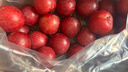 京鲜生 智利进口樱桃李3J900g礼盒装 单果25g起新鲜水果 源头直发 实拍图