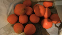 玖原农珍 赣南脐橙当季采摘优选橙子年货礼盒水果 净重9斤普通箱尝鲜果110-150g 实拍图