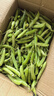 新鲜豌豆四川带壳青豆角水果甜豆荚农家蔬菜 新鲜青豌豆荚净重9斤 实拍图