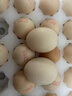 天珍牧场谷粮鲜鸡蛋 生鲜蛋类 无抗3.6斤30枚 节日礼盒早餐食材 源头直发 实拍图