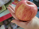 京鲜生 山东栖霞红富士苹果精品12粒 单果190g-240g  水果礼盒 实拍图