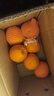 京觅秭归脐橙纽荷尔橙子净重5斤单果150g+新鲜水果源头直发包邮 实拍图