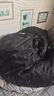 雪中飞【反季清仓】新款百搭时尚休闲斜插式口袋男女同款短款立领羽绒服 浅灰色|8139 L 175/92A 实拍图