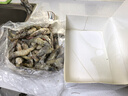 北海湾 厄瓜多尔白虾 大虾鲜活速冻盐冻南美白虾基围虾海虾对虾海鲜批发 厄瓜多尔盐冻虾 3.3斤(净重)  【15-18cm】单只冻 特大虾 实拍图