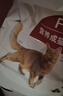 皇家室内成猫粮 I27 通用粮 12月以上 2KG 实拍图