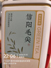 京东京造 2025新茶信阳毛尖绿茶250g明前春茶叶板栗香嫩芽礼盒送礼袋 自营 实拍图