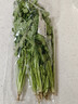 带根香菜100g 实拍图
