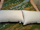水星家纺枕头枕芯酒店枕头护颈枕头芯家用一对纯棉抗菌可水洗中枕48x74cm 实拍图