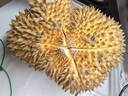 京鲜生 泰国金枕头榴莲 净重7-8斤 1个装 生鲜 年货 新鲜水果 源头直发 实拍图
