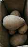 【东东农场专供】25年山东新鲜土豆黄心黄皮马铃薯黄心土豆蔬菜 黄皮黄心土豆 2斤 净重 中大果 实拍图