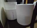 米家 小米空气加湿器 无雾加湿器3 600mL/h快速加湿保湿礼品家用卧室大容量办公室婴儿孕妇5L大容量 实拍图
