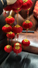 多美忆小灯笼挂件红灯笼新年装饰春节灯笼马年2026过年阳台商场户外挂饰 实拍图