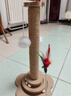 HELLOJOY猫抓柱剑麻猫抓板猫玩具耐抓耐磨不掉屑猫爬架立式自嗨解闷用品 实拍图