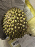 京鲜生马来西亚D197猫山王榴莲冷冻2-2.5斤保3房新鲜水果年货礼盒 实拍图