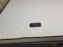 海马飞雪床垫席梦思天然椰棕乳胶独立弹簧床垫酒店厚薄双人家用榻榻米垫子 15cm双面款(乳胶+独立弹簧+椰棕) 1.5x2米 实拍图