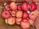 京鲜生 烟台红富士苹果 净重8斤  单果230g起 水果礼盒 实拍图