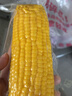 北纬47度水果玉米2.64斤(220g*6根)开袋即食鲜甜玉米棒 低脂低GI早餐苞米 实拍图