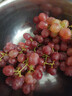 新疆糖果脆波波无籽红提约450g 实拍图