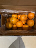 京鲜生 广西皇帝柑/贡柑 净重5斤 单果100g起 生鲜水果年货礼盒 实拍图