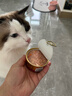 珍致猫罐头刺身罐85g*6罐金罐猫零食猫湿粮泰国进口成猫幼猫混合口味 实拍图