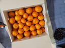 京鲜生 正宗广西砂糖橘净重4.5斤 单果35-55mm 年货精品果 源头直发包邮 实拍图