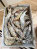 渔游记（YUYOUJI）大大号对虾厄瓜多尔净重3.2斤10-15只/斤南美白虾白虾大虾基围虾 实拍图