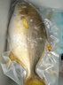 三都港 冷冻宁德黄花鱼礼盒1800g/4-6条 大黄鱼 生鲜鱼类 海鲜 年货礼盒 实拍图