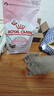 皇家离乳期幼猫粮 1-4月适用BK34  2kg+幼猫粮 4-12月适用 K36 0.4kg 实拍图