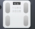 体重秤米家APP体脂秤电子秤称体重秤减肥专用智能精准体重宿舍家用减肥专用智联精准电子秤体重秤 【爆款】米家APP体脂秤 充电 特厚钢化玻璃 实拍图