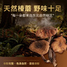 金唐榛蘑250g 东北野生榛菇 山珍菌菇干货 小鸡炖蘑菇火锅煲汤食材 实拍图