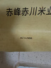 赤川敖汉黄小米5斤 25年新米金苗K1 内蒙古赤峰小米粥杂粮粥黄小米 实拍图