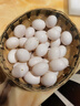 均鲜新鲜土鸽子蛋杂粮喂养农家特产白鸽蛋信鸽蛋孕妇宝宝年货节礼盒装 30枚610g左右精选鲜鸽蛋 实拍图