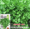 【随种随吃】调料菜种子组合春季四季易种耐热阳台盆栽通种蔬菜 小叶香菜种子2包约2000粒 一包约1000粒 实拍图
