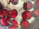 京鲜生 智利进口车厘子J级 10斤礼盒装 果径约26-28mm 水果年货礼盒 实拍图