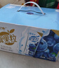 蒙牛真果粒蓝莓味牛奶饮品250g*12盒 小黄鸭IP 礼盒新老包装 含乳饮料 实拍图