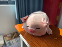 MINISO名创优品柴犬小猪弹力超柔娃娃可爱毛绒玩偶抱枕生日礼物公仔新年 小猪B-BO（37*23cm) 见详情图 实拍图