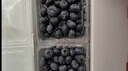 怡颗莓Driscoll's云南蓝莓Jumbo大果18mm+4盒装约125g/盒 新鲜年货水果 实拍图