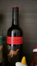 黄尾袋鼠（Yellow Tail）年货节 世界系列 西拉红葡萄酒 750ml 单瓶装 智利原瓶进口红酒 实拍图