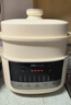 小熊（Bear）电炖锅 电炖盅 隔水炖锅 煲汤锅 炖汤盅 蒸锅 婴儿辅食锅煮粥锅燕窝炖盅隔水2-3人DDZ-D16C1 1.6L 实拍图