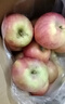 阿克苏苹果新疆阿克苏冰糖心苹果新鲜时令水果礼盒红富士丑苹果 10斤精品果70-90mm净重8.5-9斤 实拍图
