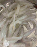 一诺有机冷冻大银鱼(6-8cm) 450g 无骨无刺面条鱼白饭鱼 宝宝辅食营养 实拍图