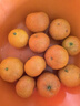 京觅四会砂糖橘新鲜水果柑橘沙糖桔 净4.5斤 单果35-45mm源头直发包邮 实拍图