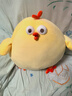 名创优品（MINISO）dundun鸡炸鸡公仔墩墩鸡毛绒公仔玩具玩偶抱枕生日礼物女 26cm 实拍图