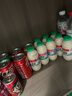 李子园甜牛奶乳饮料原味饮品225ml*20瓶学生儿童奶营养早餐奶整箱黑五 实拍图