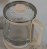 小熊（Bear）养生壶 煮茶壶 恒温水壶 保温烧水一体电热水壶花茶壶 316L不锈钢 1.5L大容量 YSH-J15H8 实拍图