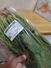 大菠菜300g 实拍图