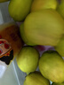 京鲜生 新疆库尔勒香梨 净重10斤 特级 单果120g以上 生鲜水果 实拍图