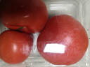 番茄约500g 实拍图